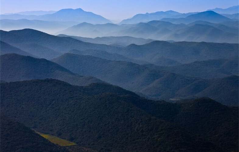 Mountains of the Sierra Gorda, Queretaro Province, Mexico (Photo by Robin Moore, Global Wildlife Conservation)